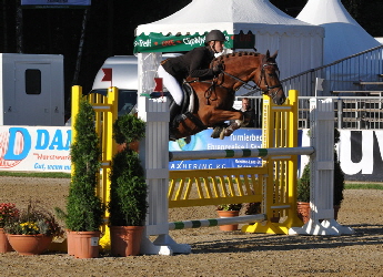 Don Johnson Don Johnson